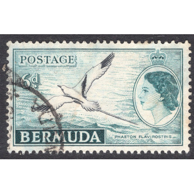 BERMUDA SCOTT 152
