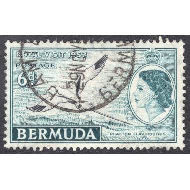 BERMUDA SCOTT 152
