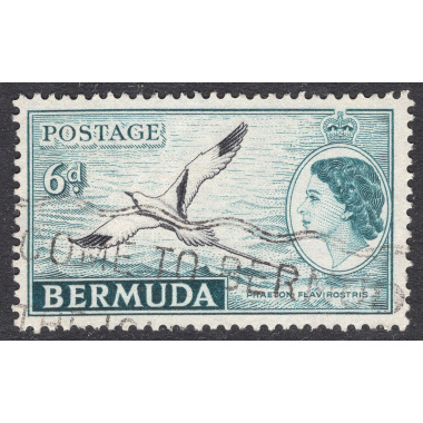 BERMUDA SCOTT 152