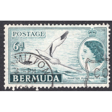 BERMUDA SCOTT 152