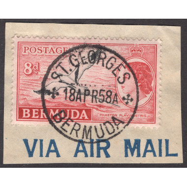 BERMUDA SCOTT 153