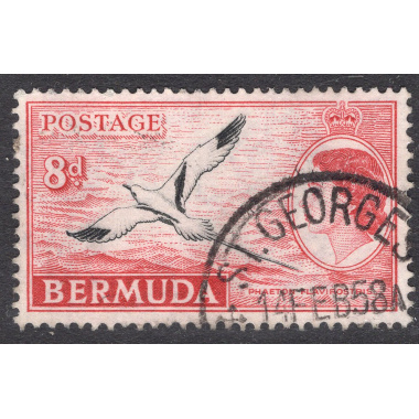 BERMUDA SCOTT 153