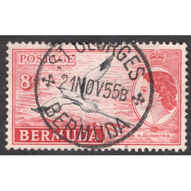 BERMUDA SCOTT 153