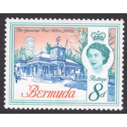 BERMUDA SCOTT 181
