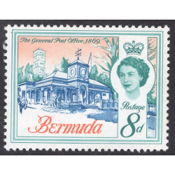 BERMUDA SCOTT 181