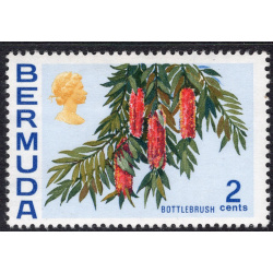 BERMUDA SCOTT 256