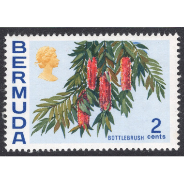 BERMUDA SCOTT 256