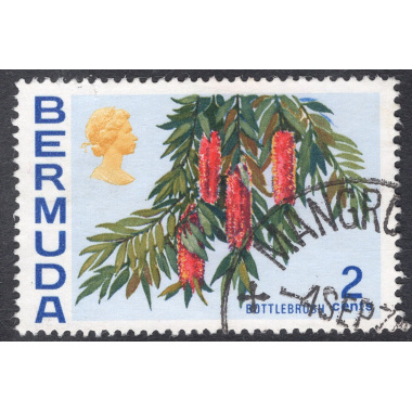 BERMUDA SCOTT 256