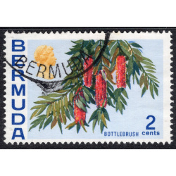 BERMUDA SCOTT 256