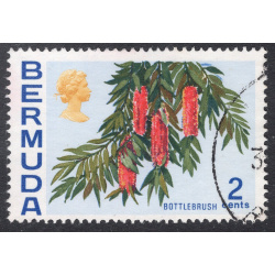 BERMUDA SCOTT 256