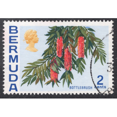 BERMUDA SCOTT 256