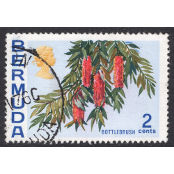 BERMUDA SCOTT 256