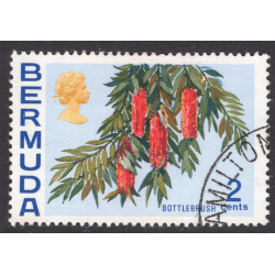 BERMUDA SCOTT 256