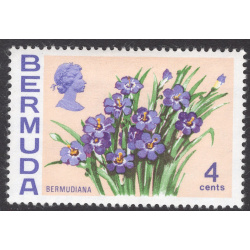 BERMUDA SCOTT 258