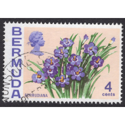 BERMUDA SCOTT 258