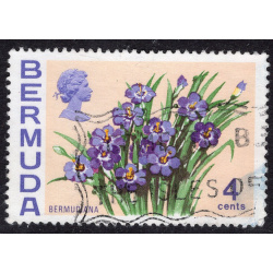 BERMUDA SCOTT 258