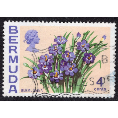 BERMUDA SCOTT 258