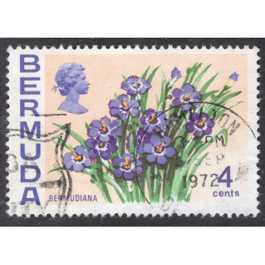 BERMUDA SCOTT 258