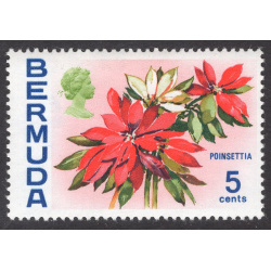 BERMUDA SCOTT 259
