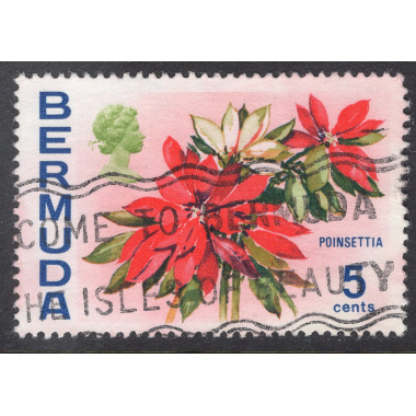 BERMUDA SCOTT 259