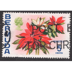 BERMUDA SCOTT 259