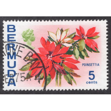 BERMUDA SCOTT 259