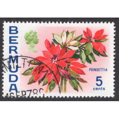 BERMUDA SCOTT 259