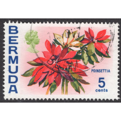 BERMUDA SCOTT 259