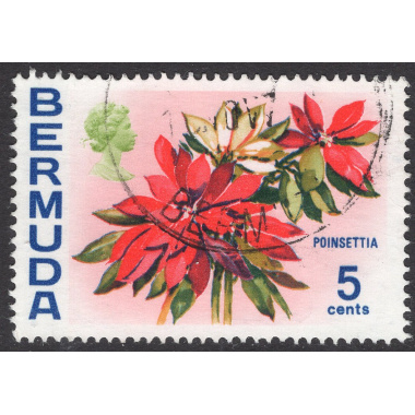BERMUDA SCOTT 259