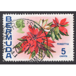 BERMUDA SCOTT 259