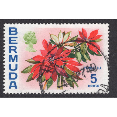 BERMUDA SCOTT 259