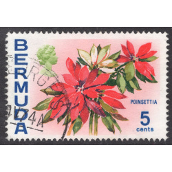 BERMUDA SCOTT 259