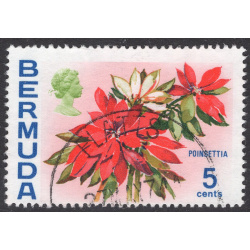 BERMUDA SCOTT 259