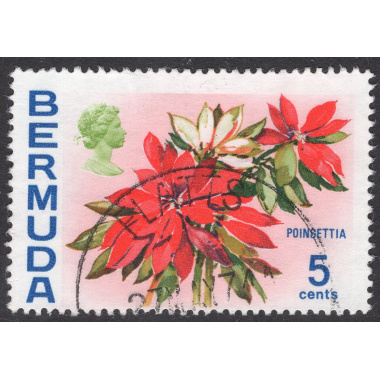 BERMUDA SCOTT 259