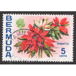 BERMUDA SCOTT 259