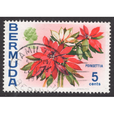 BERMUDA SCOTT 259