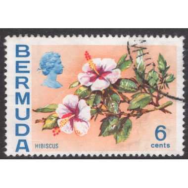 BERMUDA SCOTT 260
