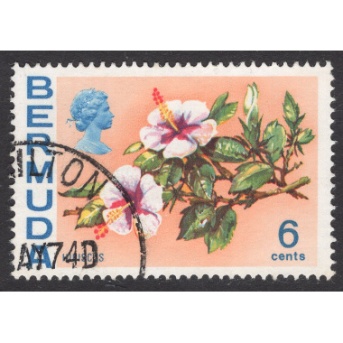 BERMUDA SCOTT 260