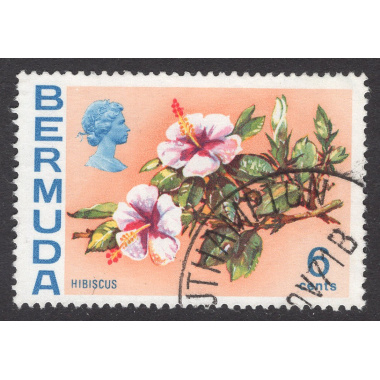 BERMUDA SCOTT 260