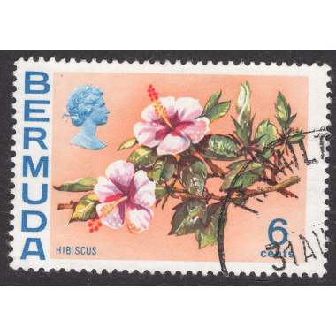 BERMUDA SCOTT 260