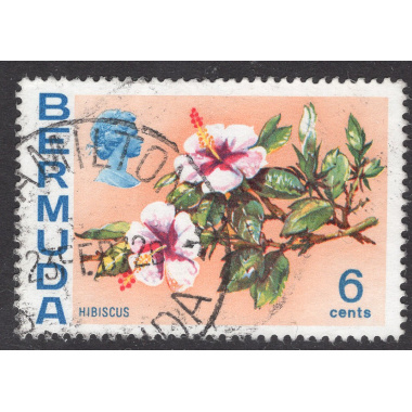 BERMUDA SCOTT 260