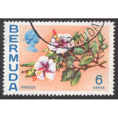 BERMUDA SCOTT 260