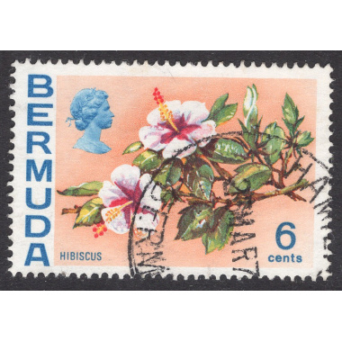 BERMUDA SCOTT 260