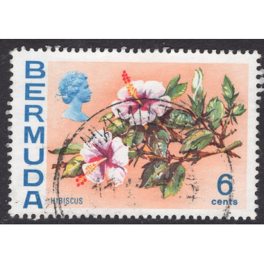 BERMUDA SCOTT 260