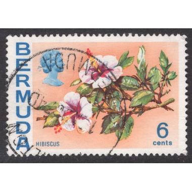 BERMUDA SCOTT 260