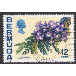 BERMUDA SCOTT 263