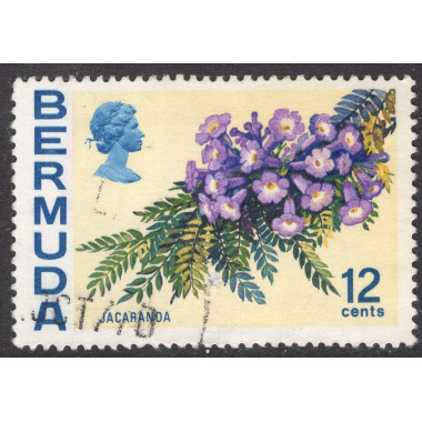 BERMUDA SCOTT 263