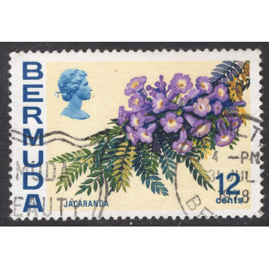 BERMUDA SCOTT 263