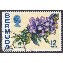 BERMUDA SCOTT 263