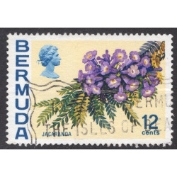BERMUDA SCOTT 263